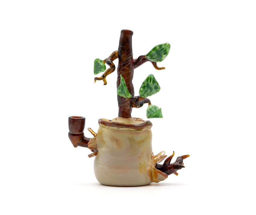 Imagen de PIPA BONSAI