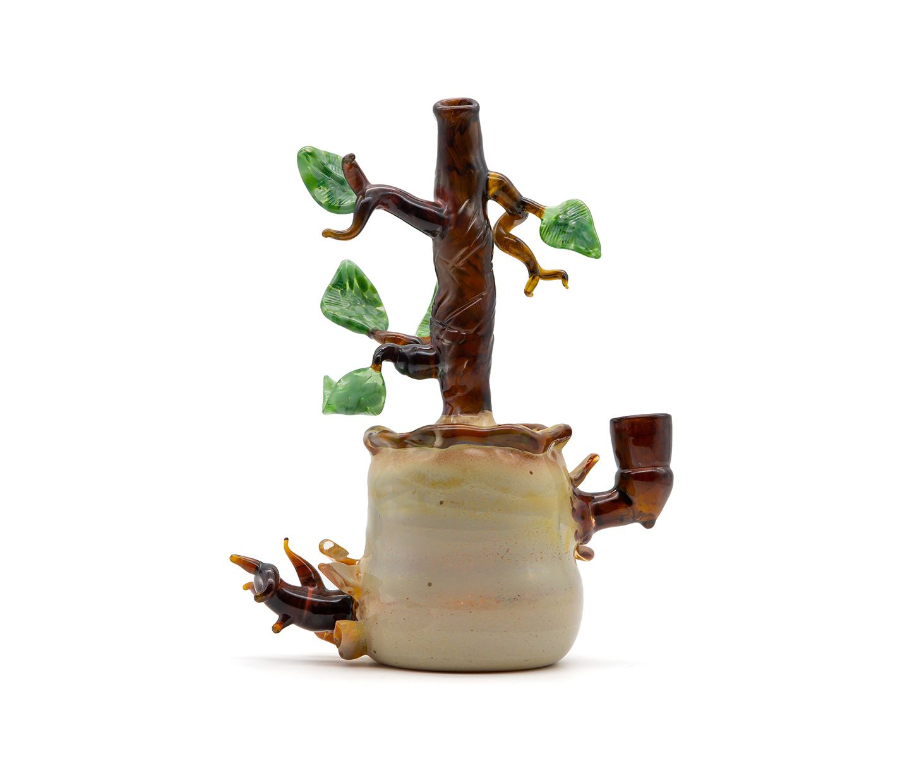 Imagen de PIPA BONSAI